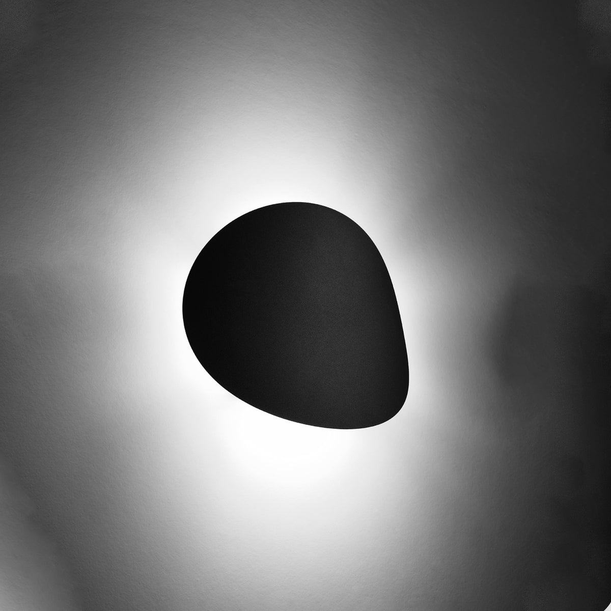 Senses Wall Light – Black, view 6