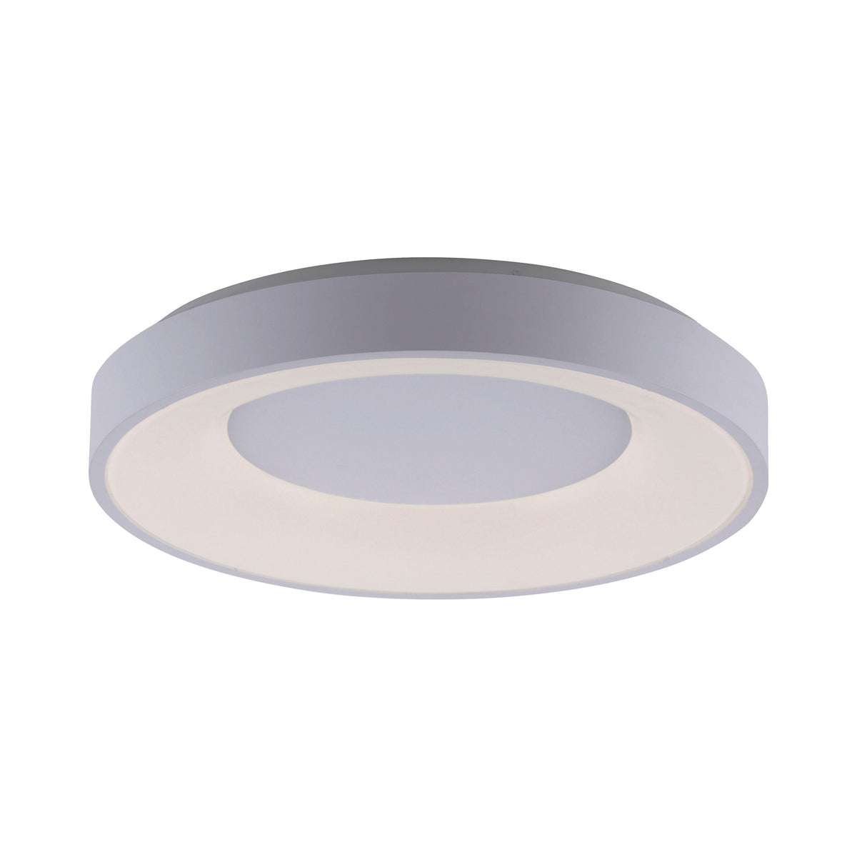 Anika LED Ceiling Light