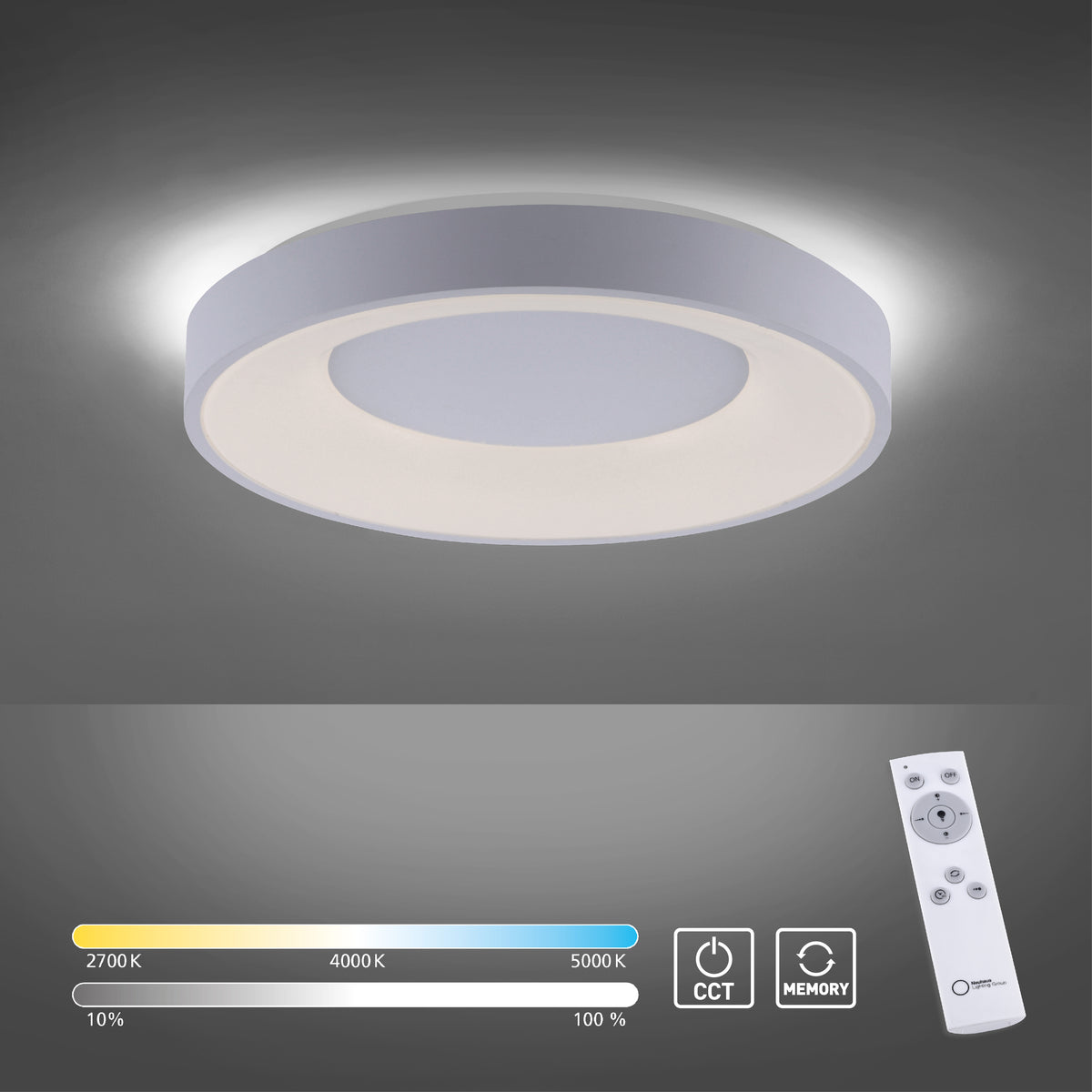 Anika LED Ceiling Light
