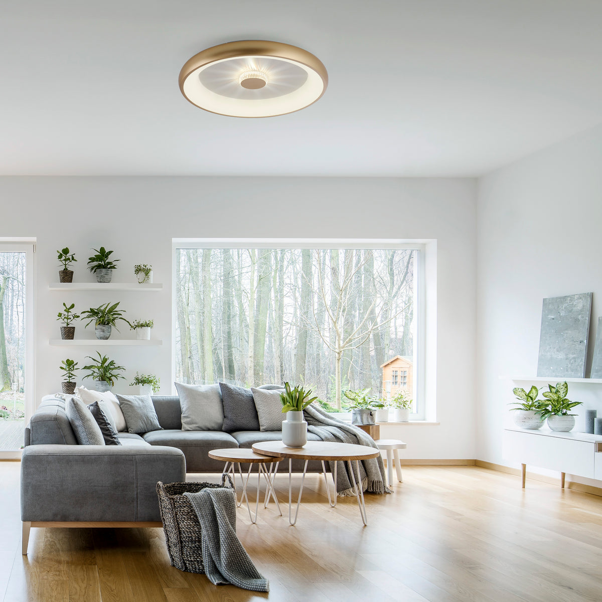 Vertigo 615 mm LED Ceiling Light