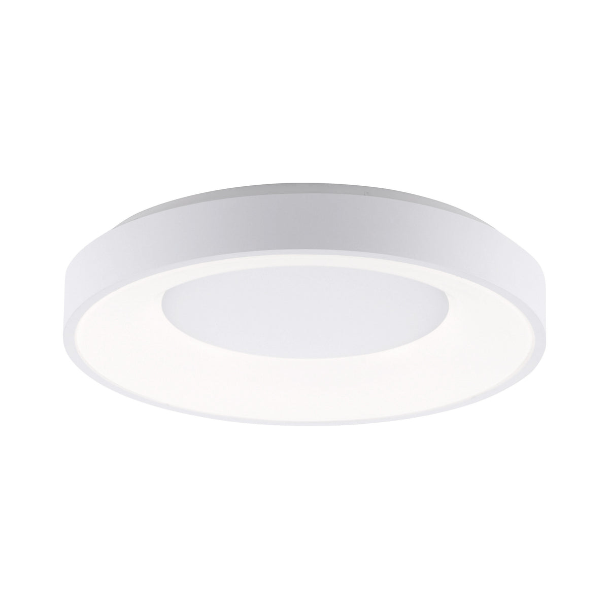Anika LED Ceiling Light