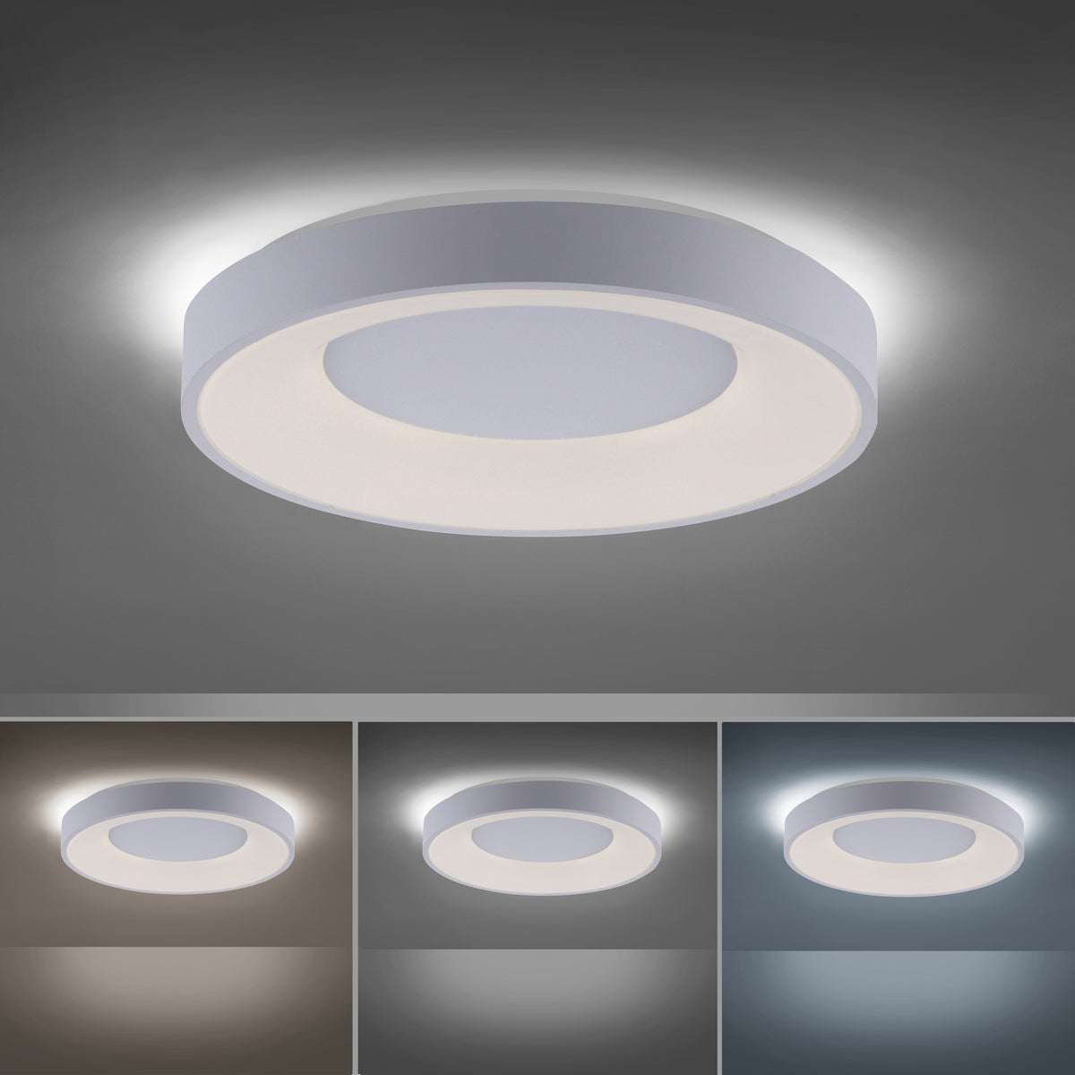 Anika LED Ceiling Light