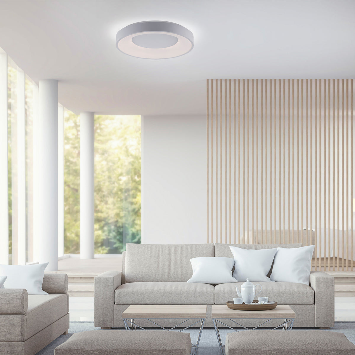 Anika LED Ceiling Light
