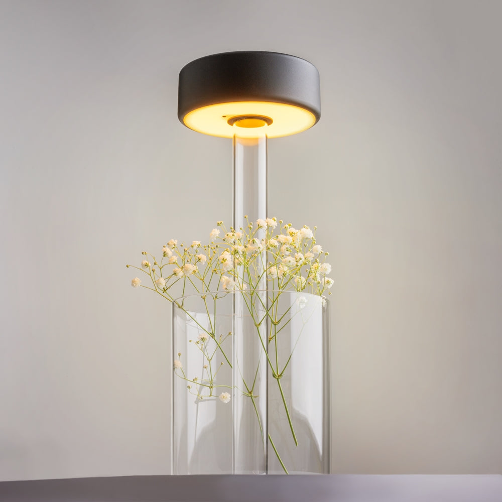 Maytoni AI Collaboration rechargeable table lamp – Transparent glass / Black – additional perspective