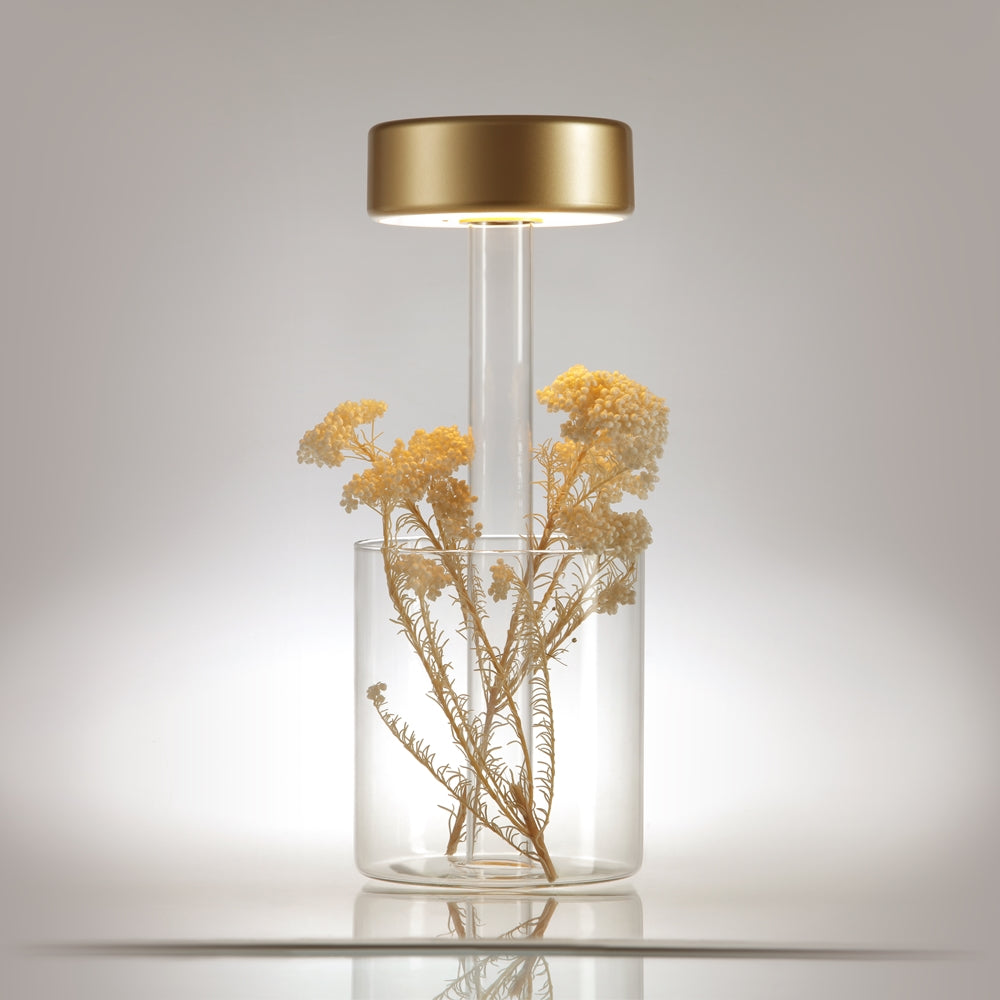 Maytoni AI Collaboration rechargeable table lamp – Transparent glass / Gold – additional perspective