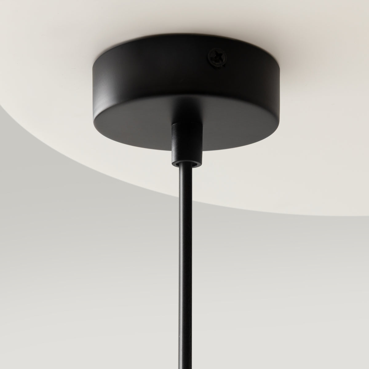 Ring Pendant Light – Black / White, 25W by Maytoni – view 8
