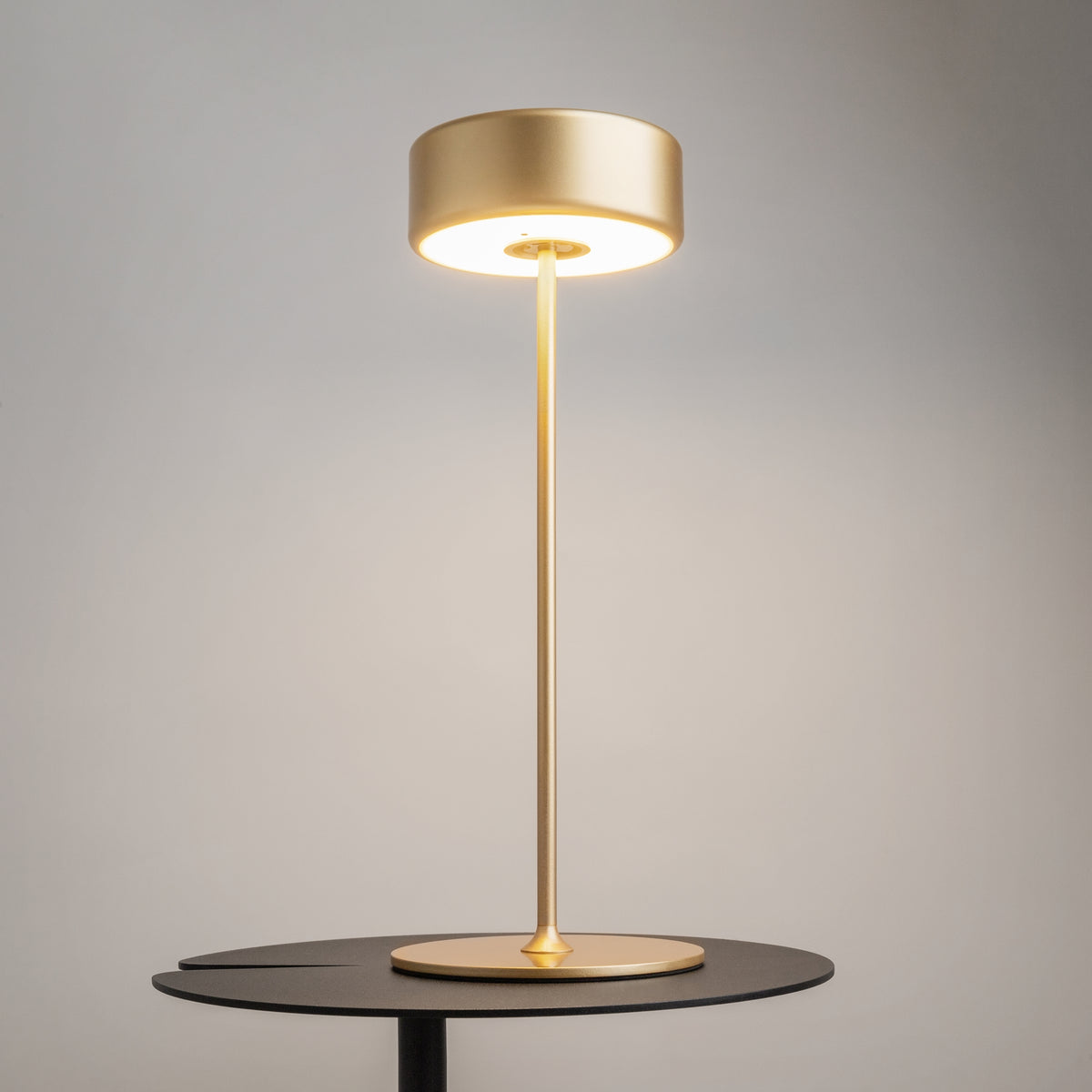 AI Collaboration LED Rechargeable Table Lamp – Gold (MOD229TL-L3G3K2), view 12